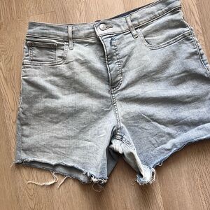 Express Women's Denim Shorts Size 10